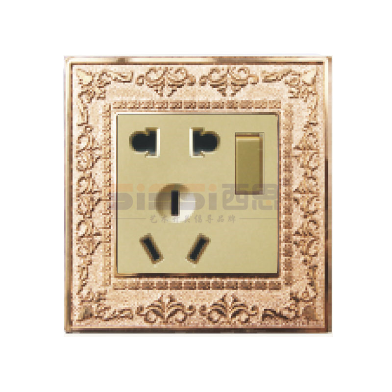 10A二三极插座带单控开关